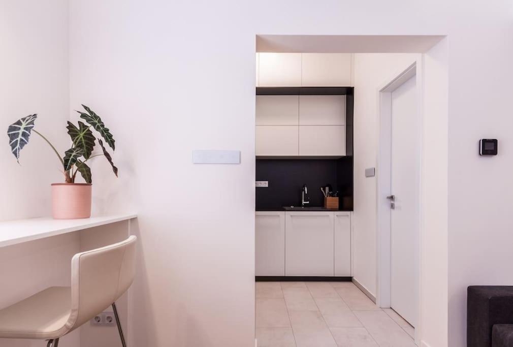 בודפשט Eszter'S Lovely Downtown Apartment מראה חיצוני תמונה